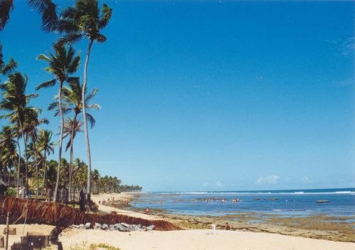  Salvador Bahia